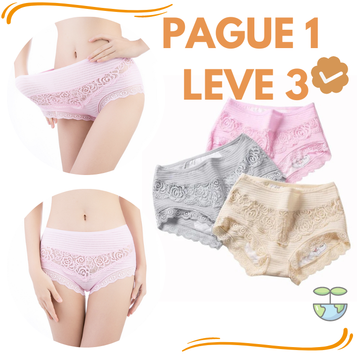 Calcinha Absorvente Comfort Plus - Kit 3 Unidades